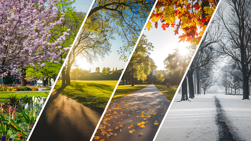 A collage showing nature's beauty through seasons: blooming spring flowers, summer sunlight, autumn leaves, and a snowy winter park.